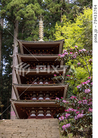 室生寺の地蔵とシャクナゲの写真素材