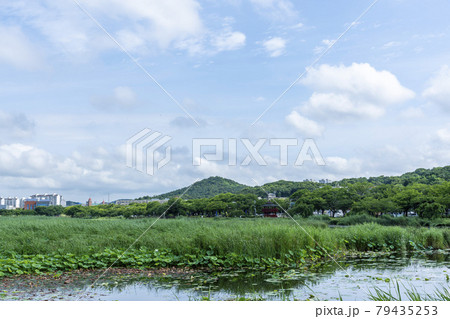 蓮 花 空 79435253