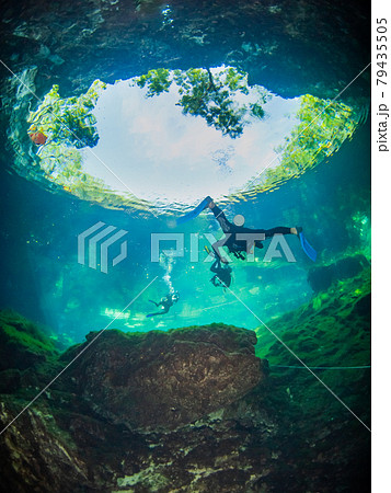 セノーテ(水中洞窟)を出るスクーバダイバー達 (プラヤ・デル・カルメン、メキシコ) 79435505