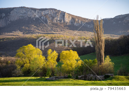 Trees against the backdrop of mesmerizing mountains. Wonderful natural landscape. 79435663