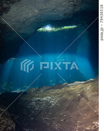天井の穴から太陽光が射す水中洞窟(セノーテ) (プラヤ・デル・カルメン、メキシコ) 天井の穴から太陽光が射す水中洞窟(セノーテ) (プラヤ・デル・カルメン、メキシコ) 79436516
