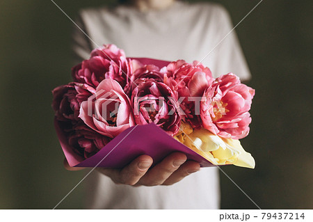 A woman holds a bouquet of pink tulips in her hands 79437214