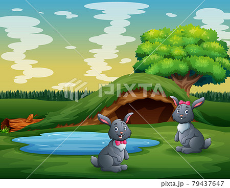 Cute two rabbits playing in the green land Cute two rabbits playing in the green land 79437647