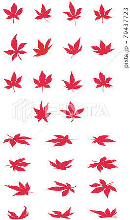 26種類の紅葉のイラストセット 26種類の紅葉のイラストセット 79437723