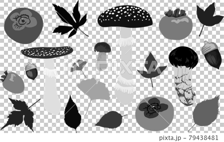 19種類の色々なキノコ 落ち葉 ドングリ 柿など秋のイラストセットのイラスト素材