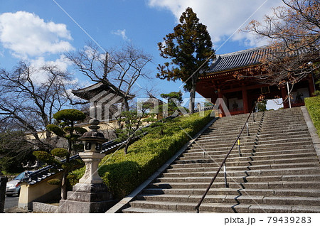 大阪南河内の名刹 叡福寺にある多宝塔と南大門 大阪南河内の名刹 叡福寺にある多宝塔と南大門 79439283