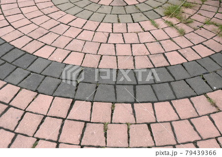 brick walk path in public park brick walk path in public park 79439366