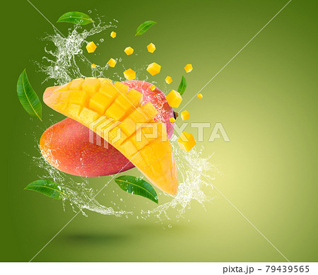 Water Splash on fresh mango with leaves Isolated on green Background Water Splash on fresh mango with leaves Isolated on green Background 79439565