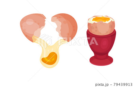 Raw Egg With Cracked Shell Showing Poured Yolk のイラスト素材