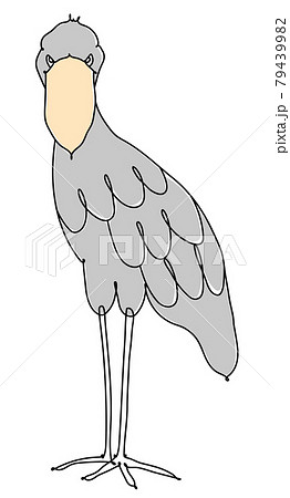 ハシビロコウ　線画 79439982