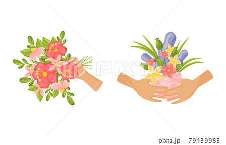 Hand Holding Bunch or Bouquet of Blooming Flowers Vector Set Hand Holding Bunch or Bouquet of Blooming Flowers Vector Set 79439983