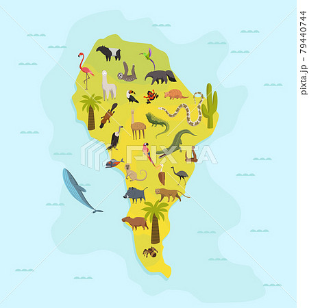 Animal map of south america. Nature fauna cartography concept . Geographical map with local fauna. Continent with mammals and sea life. Vector illustration in kids style 79440744