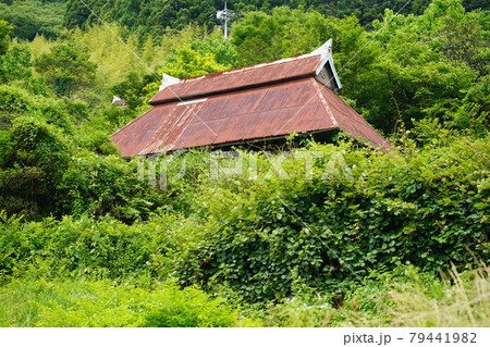 トタン屋根の古民家 トタン屋根の古民家 79441982
