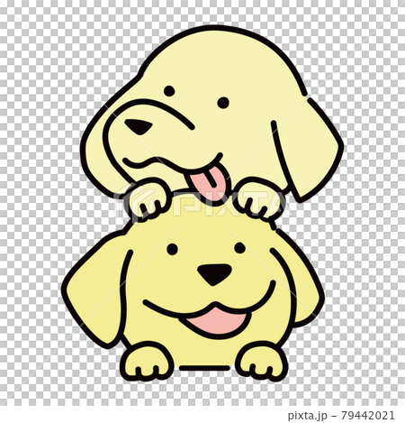 可愛い二匹のゴールデンレトリバーのイラスト 79442021
