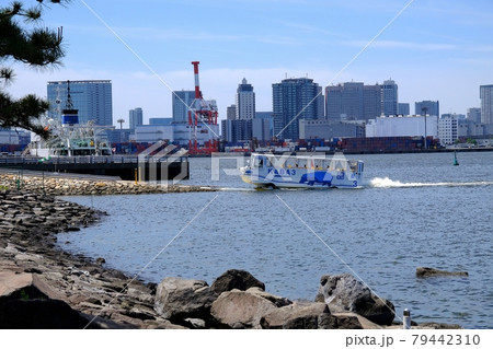 お台場　水陸両用バスが走る風景 79442310
