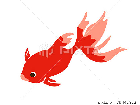 シンプルかわいい真っ赤な金魚のイラストのイラスト素材