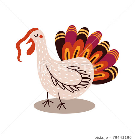 traditional Thanksgiving symbol turkey traditional Thanksgiving symbol turkey 79443196