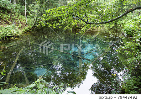 神の子池 79443492