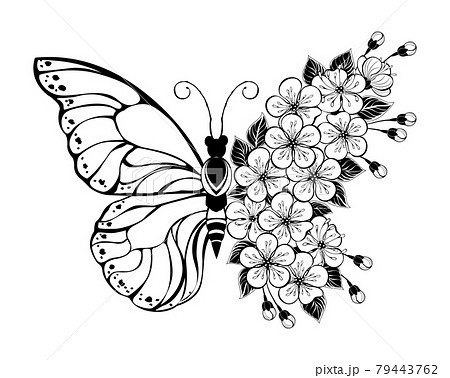 Flower Butterfly With Sakura Stock Illustration
