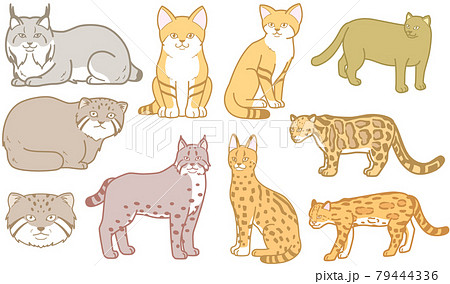 キンシナアソビ レコード 猫のイラスト キンシナアソビ レコード 猫のイラスト いただきますあそび