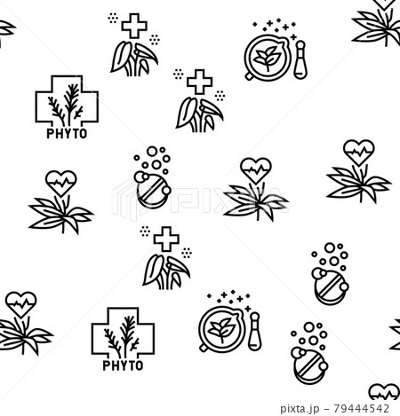 Phytotherapy Treat Vector Seamless Pattern Phytotherapy Treat Vector Seamless Pattern 79444542