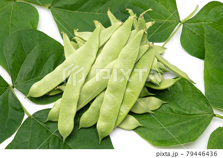 Morocco beans with leaves isolated on white background 79446436