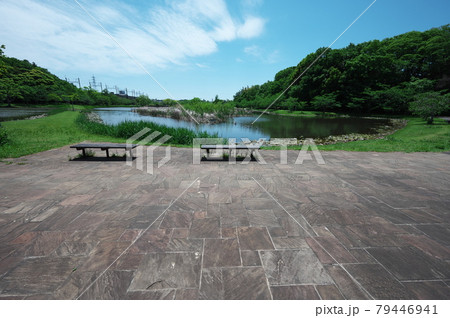 千葉公園 79446941