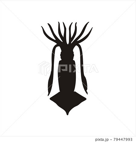 Squid, calamar. Black silhouette vector illustration isolated on white background.  79447993