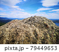 A large stone on the background of mountains with trees 79449653
