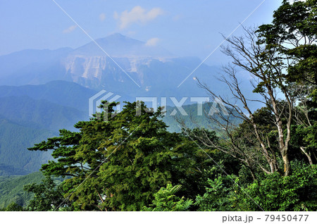 奥武蔵の日向山山頂より望む武甲山 79450477