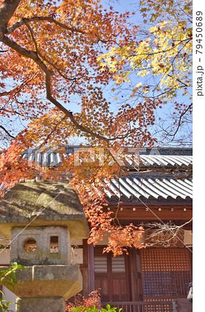 塀の無い常寂光寺の晩秋風景 塀の無い常寂光寺の晩秋風景 79450689