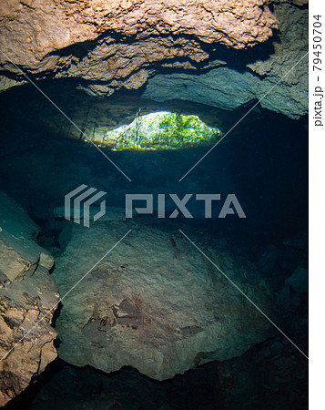 水中鍾乳洞(セノーテ)の中から外部に通じる縦穴を見上げる (プラヤ・デル・カルメン、メキシコ) 79450704