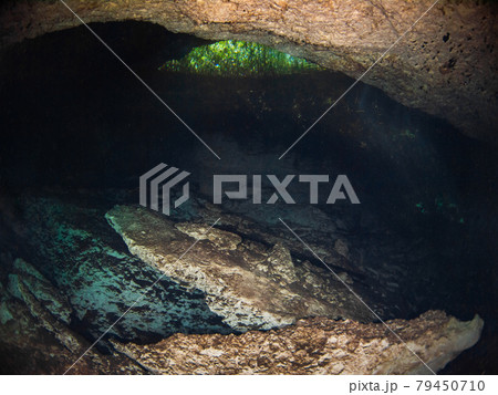 水中鍾乳洞(セノーテ)の中から外部に通じる縦穴を見上げる (プラヤ・デル・カルメン、メキシコ) 水中鍾乳洞(セノーテ)の中から外部に通じる縦穴を見上げる (プラヤ・デル・カルメン、メキシコ) 79450710