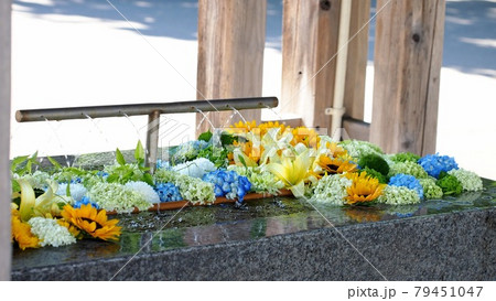 函館亀田八幡宮の花手水舎 函館亀田八幡宮の花手水舎 79451047
