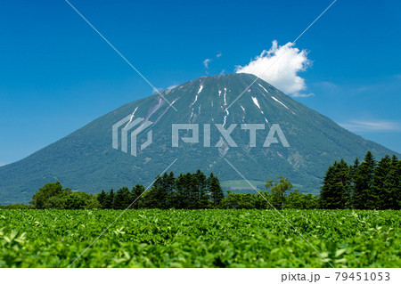 北海道 初夏の羊蹄山の風景 北海道 初夏の羊蹄山の風景 79451053
