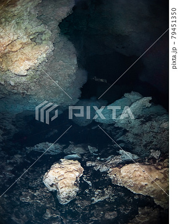 水中鍾乳洞(セノーテ) (プラヤ・デル・カルメン、メキシコ) 水中鍾乳洞(セノーテ) (プラヤ・デル・カルメン、メキシコ) 79451350