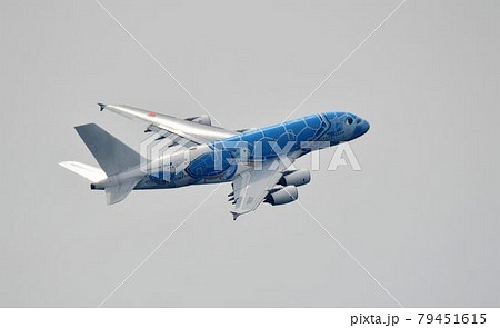 エアバスA380 (ANA FLYING HONU) エアバスA380 (ANA FLYING HONU) 79451615