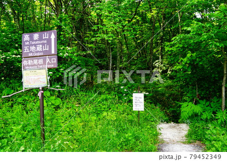 弥勒尾根 弥勒尾根 79452349