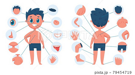 Boy body parts. Child body part anatomy education for children. Learning face parts for kids. Vector preschool educational infographic 79454719