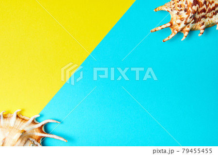 Exotic sea shells on a yellow-blue background with copy space Exotic sea shells on a yellow-blue background with copy space 79455455