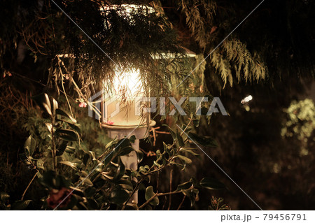 灯 ランプ 電灯 79456791
