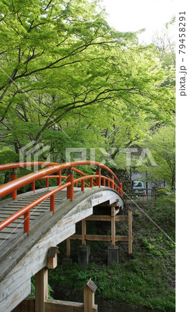 伊香保温泉の風景 伊香保温泉の風景 79458291