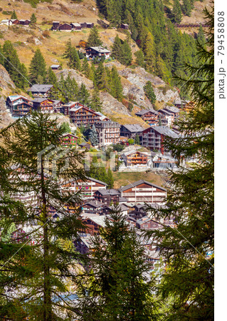 Alpine village, pine woods, Switzerland, Zermatt Alpine village, pine woods, Switzerland, Zermatt 79458808