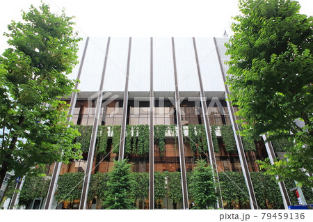 銀座の街並み 中央区銀座二丁目 銀座貿易ビル 銀座の街並み 中央区銀座二丁目 銀座貿易ビル 79459136
