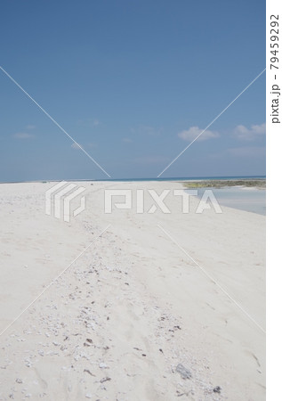 沖縄県久米島のはての浜 沖縄県久米島のはての浜 79459292