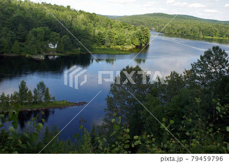 Rolling Hills 79459796