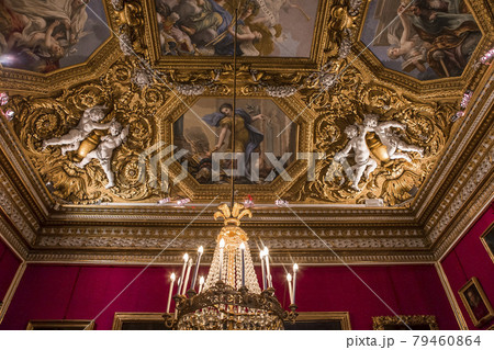interiors of Palazzo Pitti, Florence, Italy interiors of Palazzo Pitti, Florence, Italy 79460864