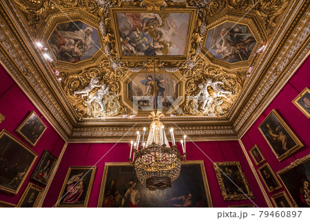 interiors of Palazzo Pitti, Florence, Italy 79460897