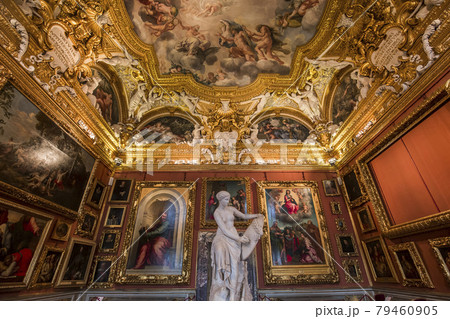 interiors of Palazzo Pitti, Florence, Italy 79460905