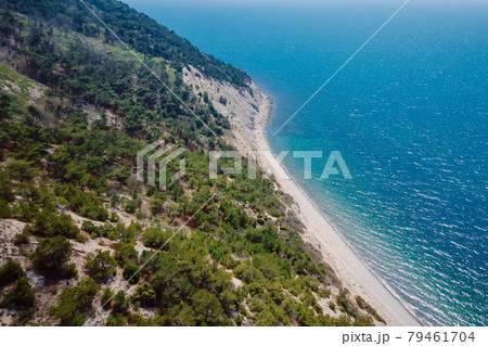 Aerial view of coastline with pine trees and blue transparent sea. Summer day on Black sea Aerial view of coastline with pine trees and blue transparent sea. Summer day on Black sea 79461704
